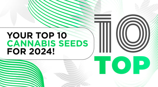 Your Top 10 Cannabis Seeds for 2024