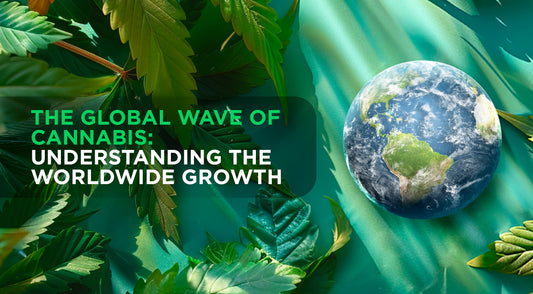 The Global Wave of Cannabis: Understanding the Worldwide Growth