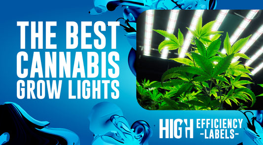 The Best Cannabis Grow Lights