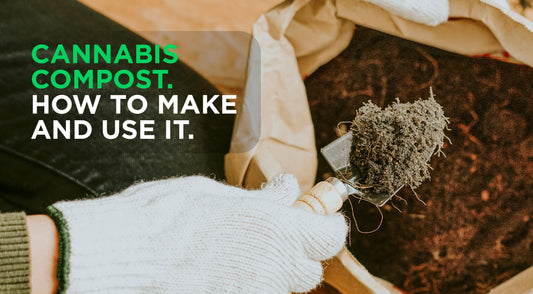 Cannabis Compost: How to Make and Use It