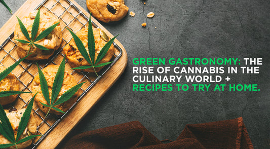 Green Gastronomy: The Rise of Cannabis in the Culinary World, Recipes to Try at Home