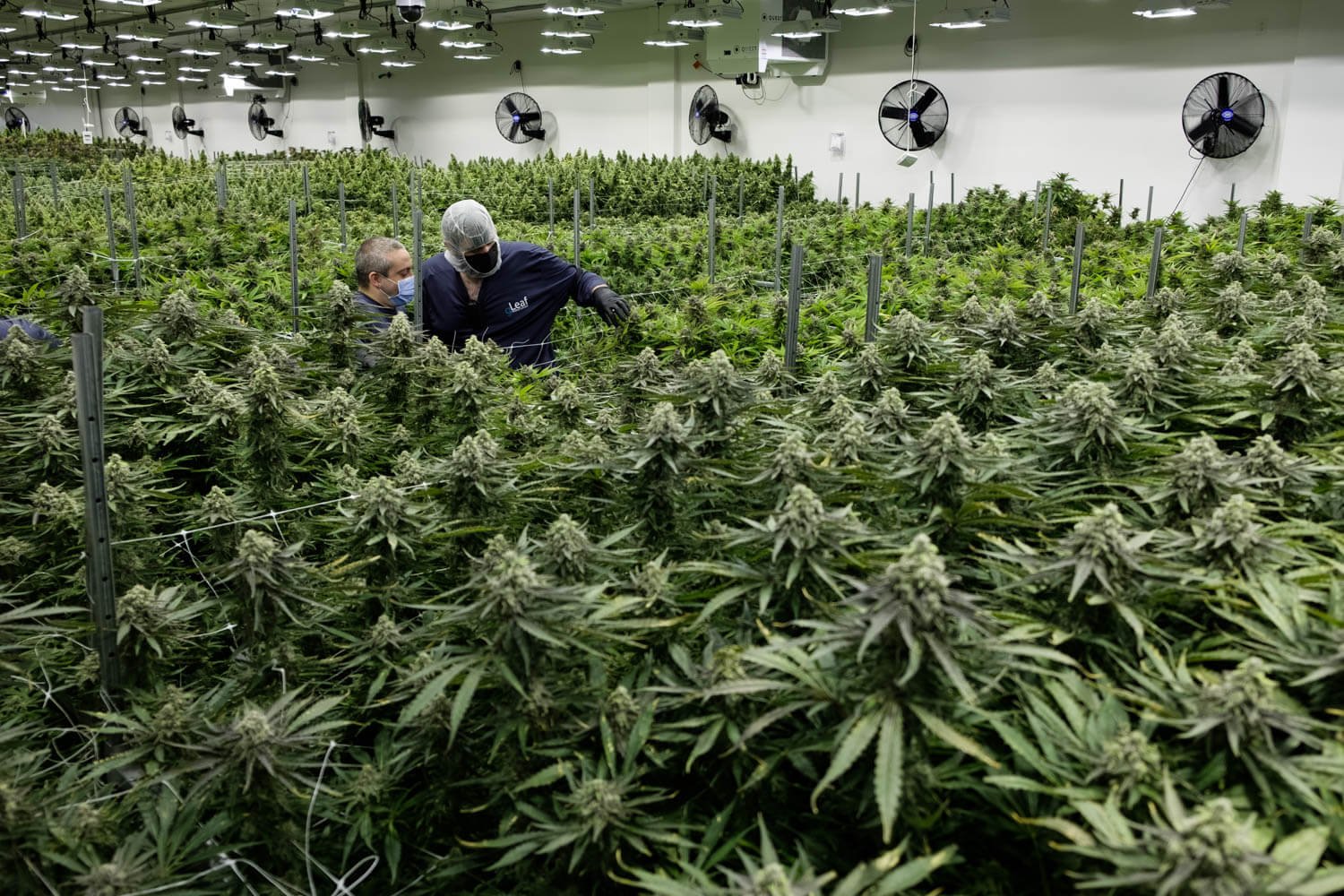 Map highlighting New Jersey, Virginia, and Minnesota