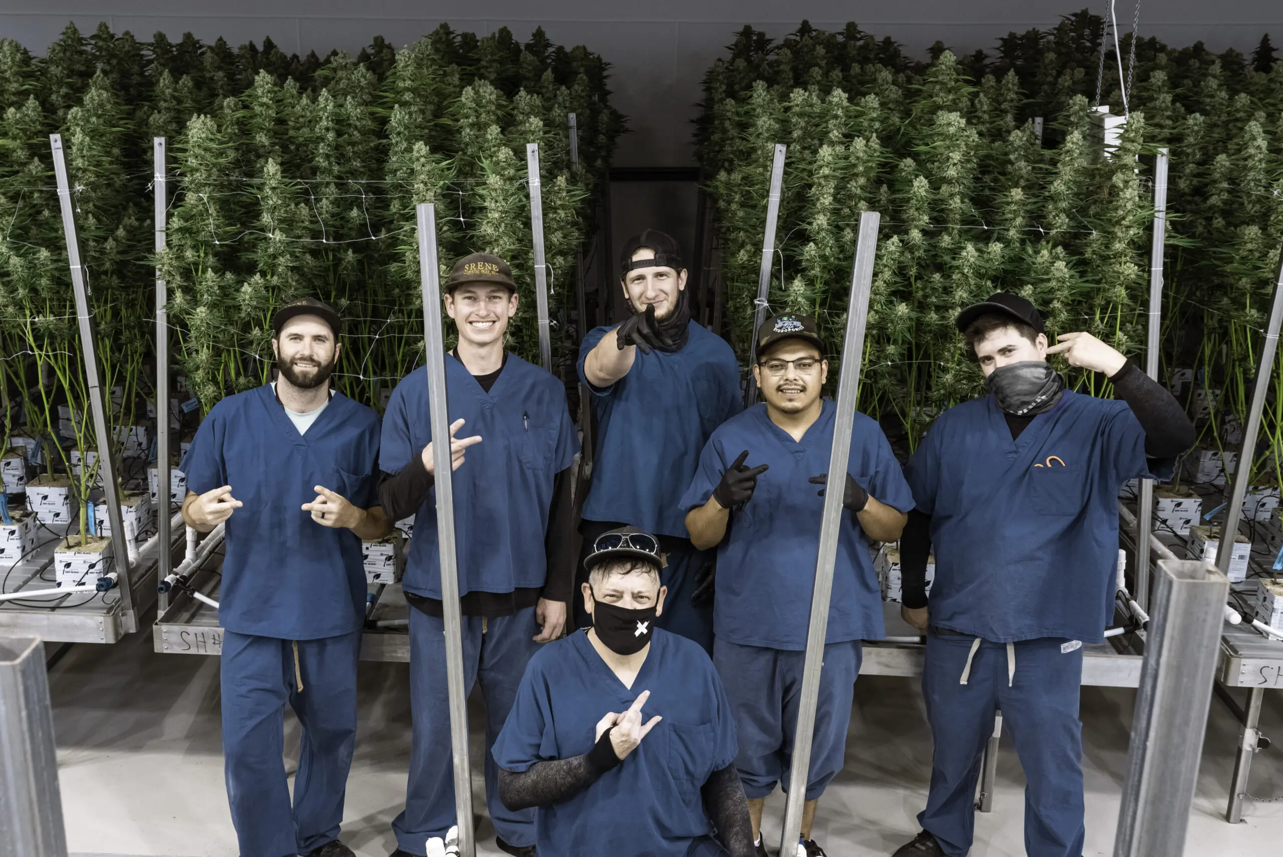 Las Vegas Cannabis Industry Growth