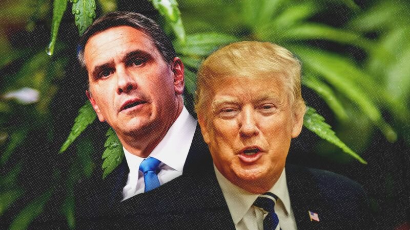 todd Todd-Blanche-Trump-Weed-v3-800x450-1